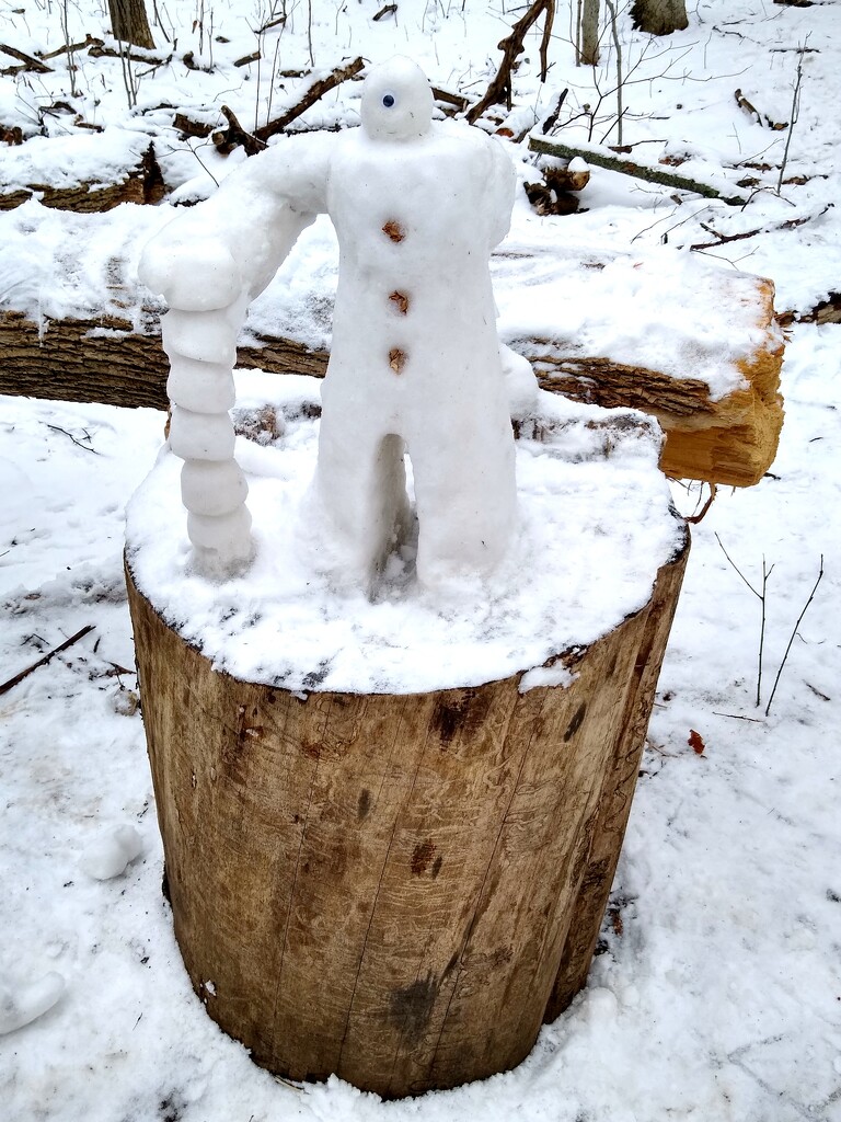 This little snowman lost an arm by bruni