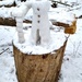 This little snowman lost an arm