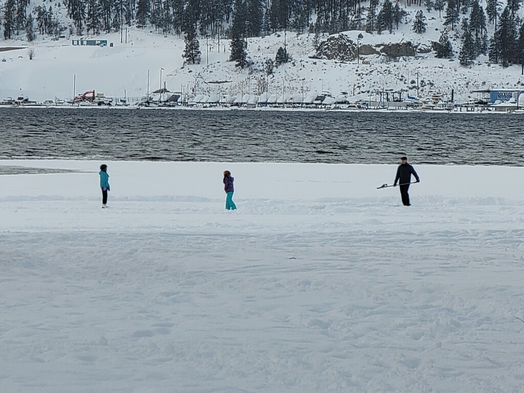 Skating at the Lake by gq