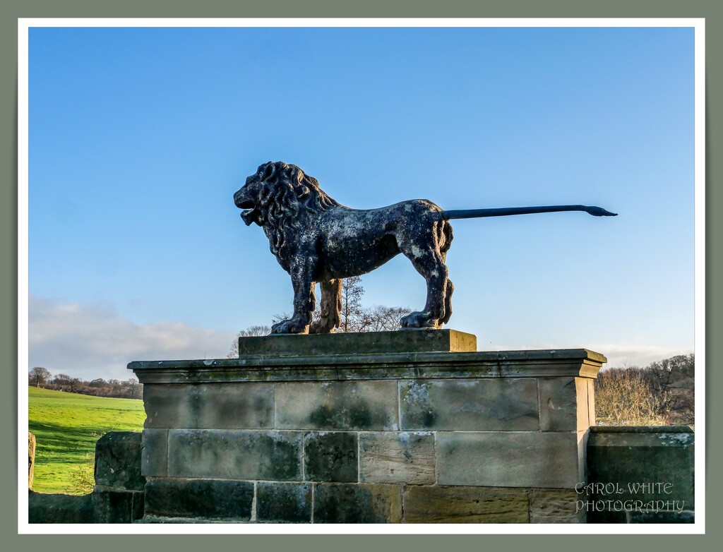 Lion On The Bridge,Alnwick by carolmw