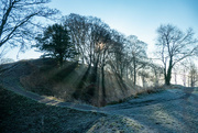 14th Jan 2022 - Frost and Sunshine....