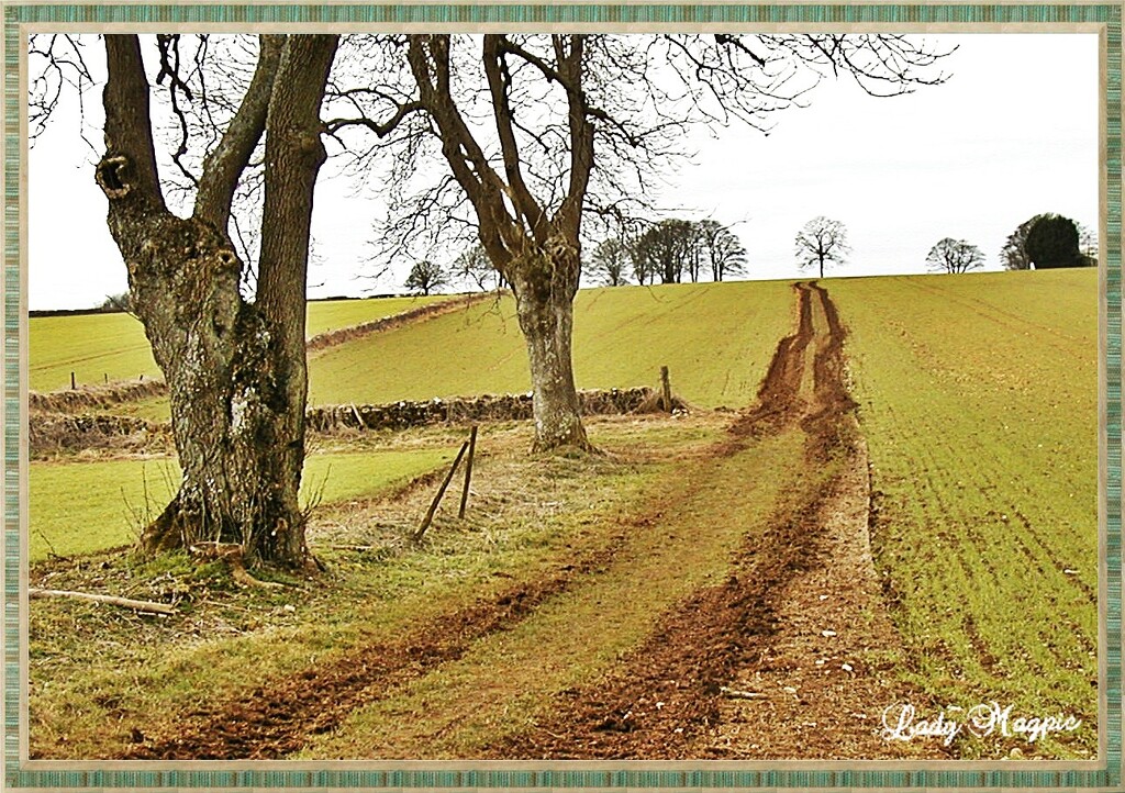 Walking with the Mud Larks by ladymagpie