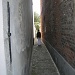 alley 2 by pyrrhula