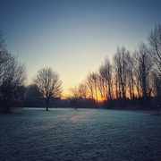 14th Jan 2022 - Frosty sunrise 