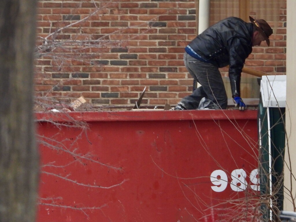 dumpster diving by amyk
