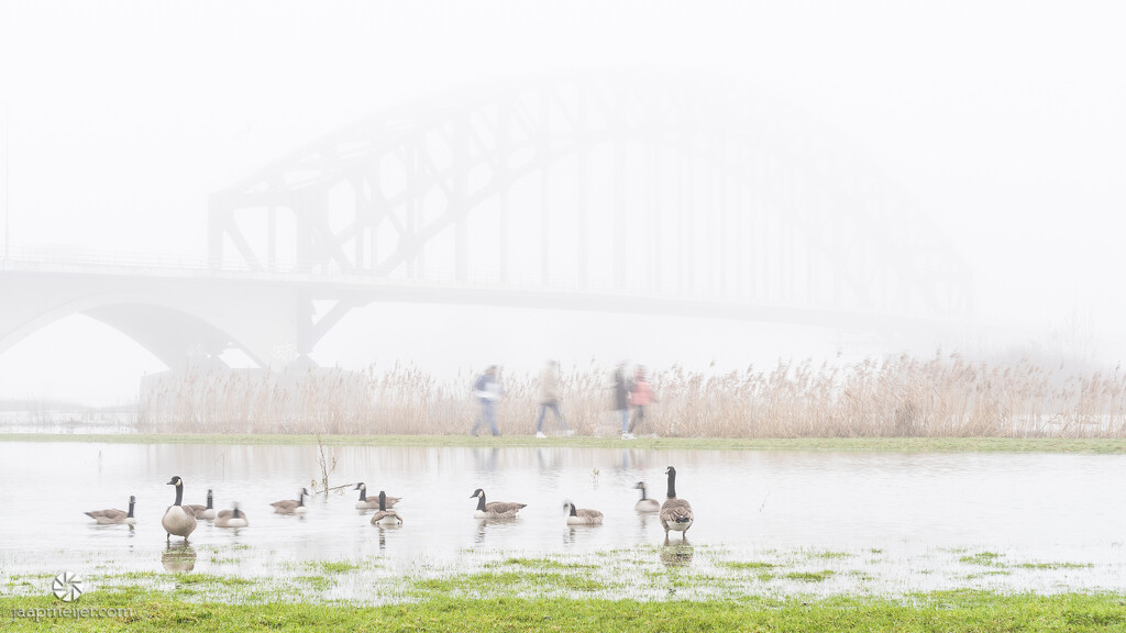 Zwolle bridge at fog by djepie