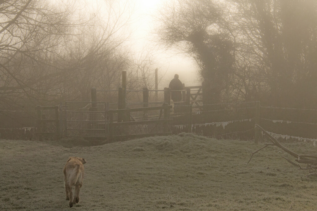 Riverside Mist by shepherdman