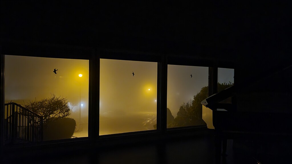 Foggy Night View by kimmer50