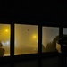 Foggy Night View