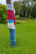 16th Jan 2022 - Knitted tree pole