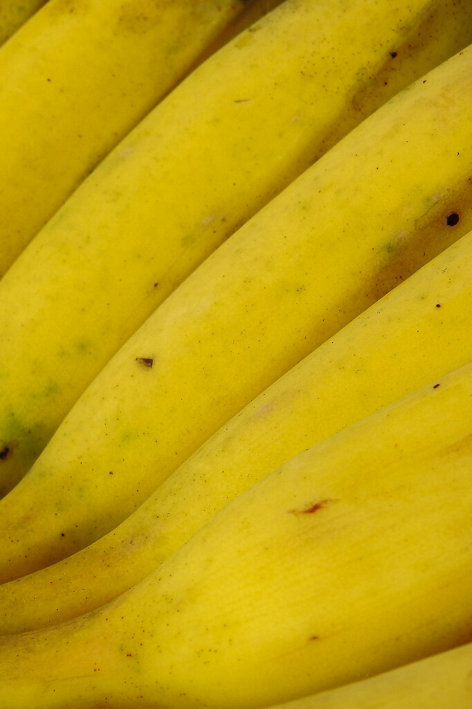 Yellow, banana by jeneurell