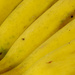 Yellow, banana by jeneurell