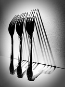 16th Jan 2022 - Trio of Forks and Shadows