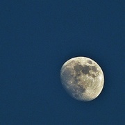 12th Jan 2022 - Afternoon moon (handheld)