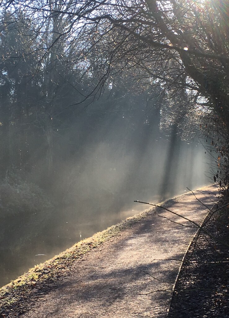 Misty towpath by pattyblue