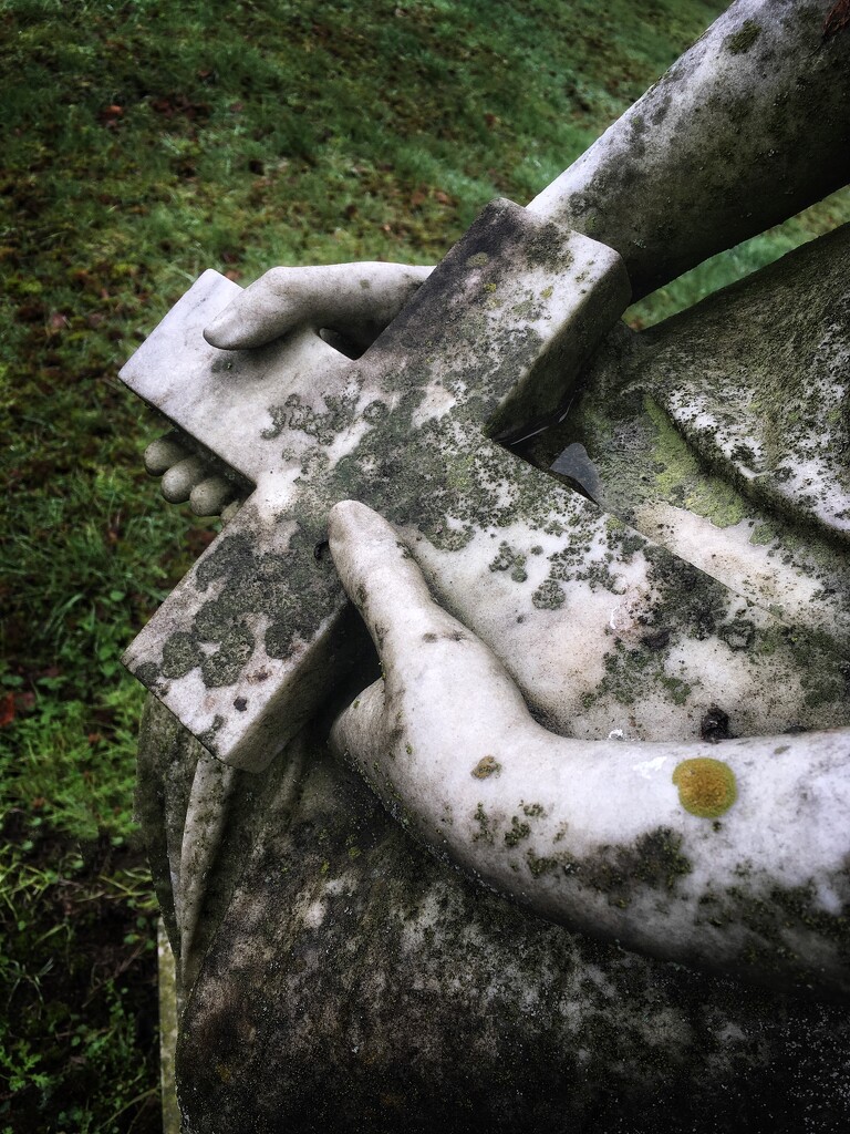 Graveyard lichen by pattyblue