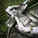Graveyard lichen