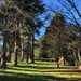 The Arboretum, Hergest Croft 