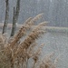 LHG_1031-Snowing outside my window