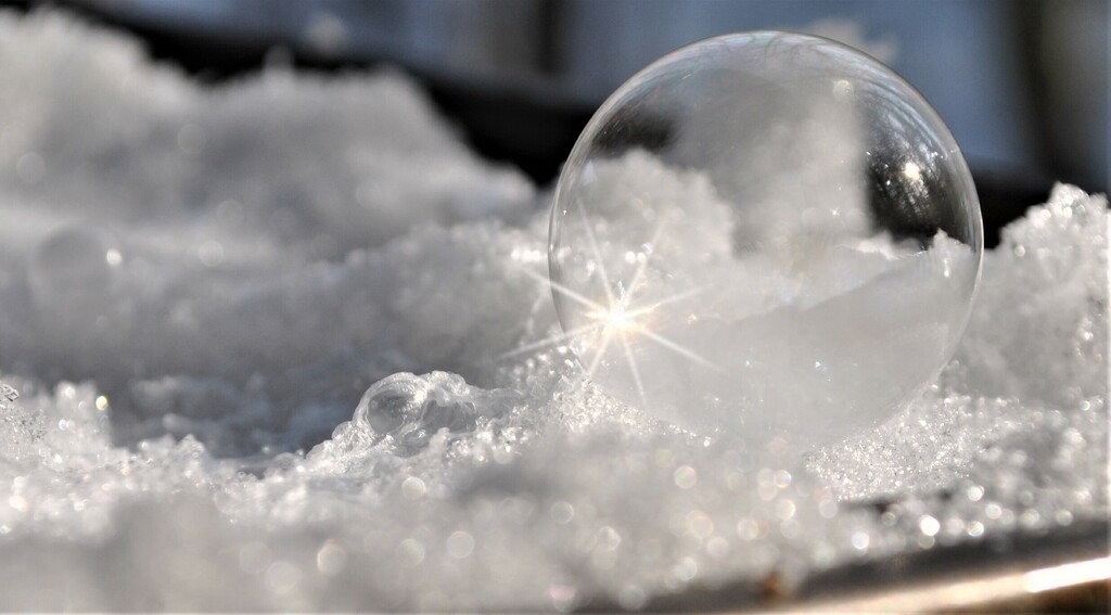 Day 16: Frozen Bubbles  by jeanniec57