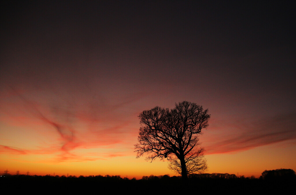 Silhouette At Sunset by shepherdman