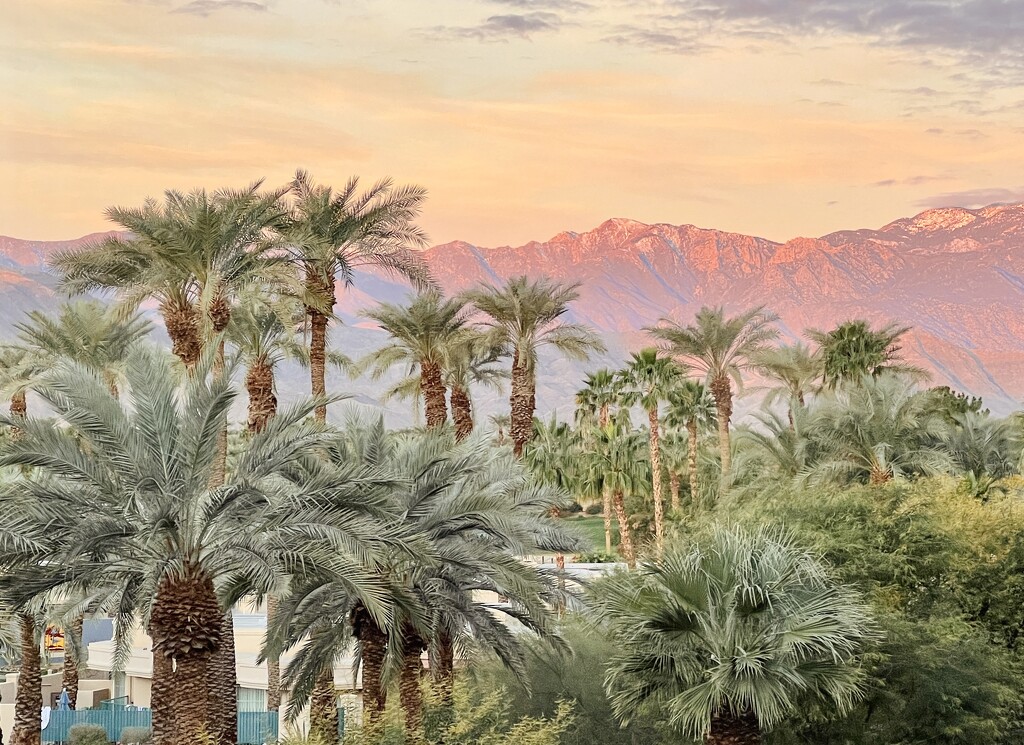 Palm Springs Sunrise by 2022julieg