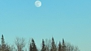16th Jan 2022 - Oooh the moon!
