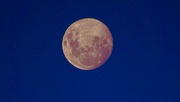 17th Jan 2022 - The key to a good Moon photo is..