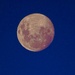 The key to a good Moon photo is..