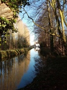 17th Jan 2022 - Anglesey Abbey Mill Leat