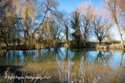 17th Jan 2022 - River Reflections