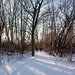 A winter walk by revken70