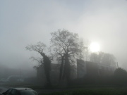 14th Jan 2022 - Foggy morning