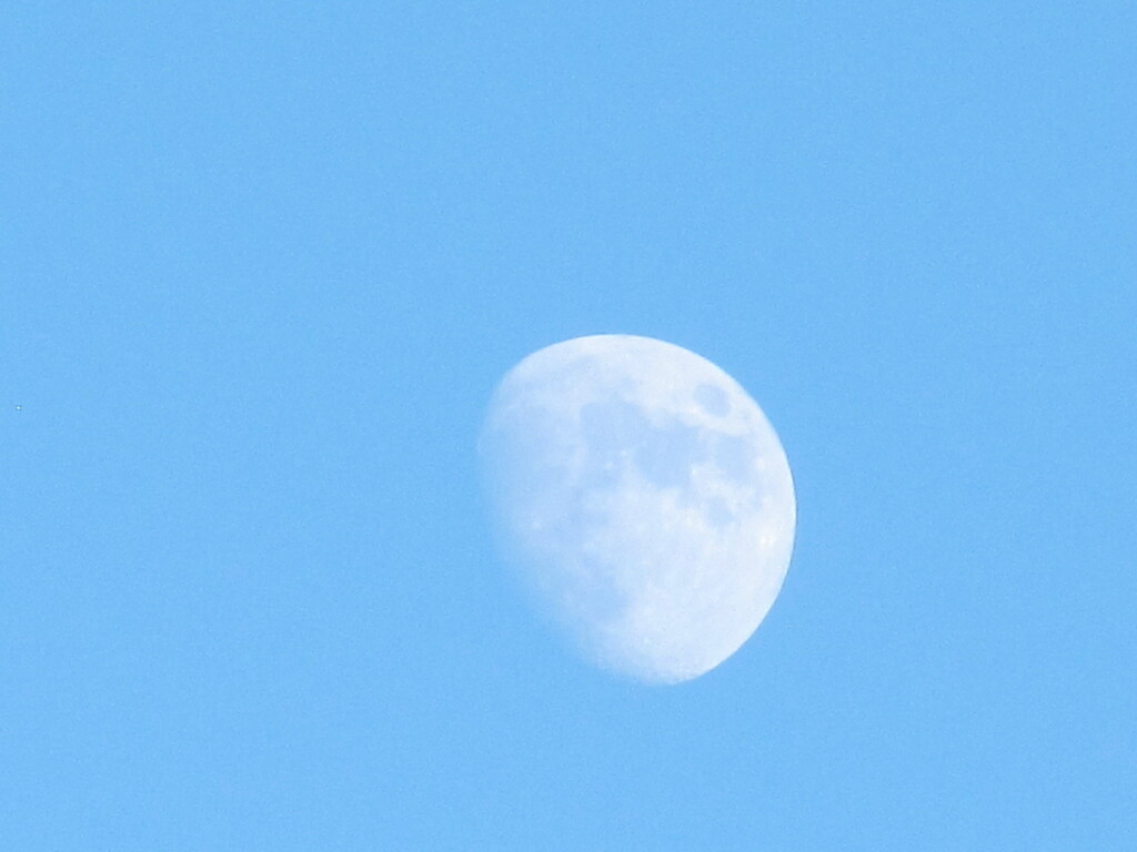 Moon rising into the blue sky by speedwell