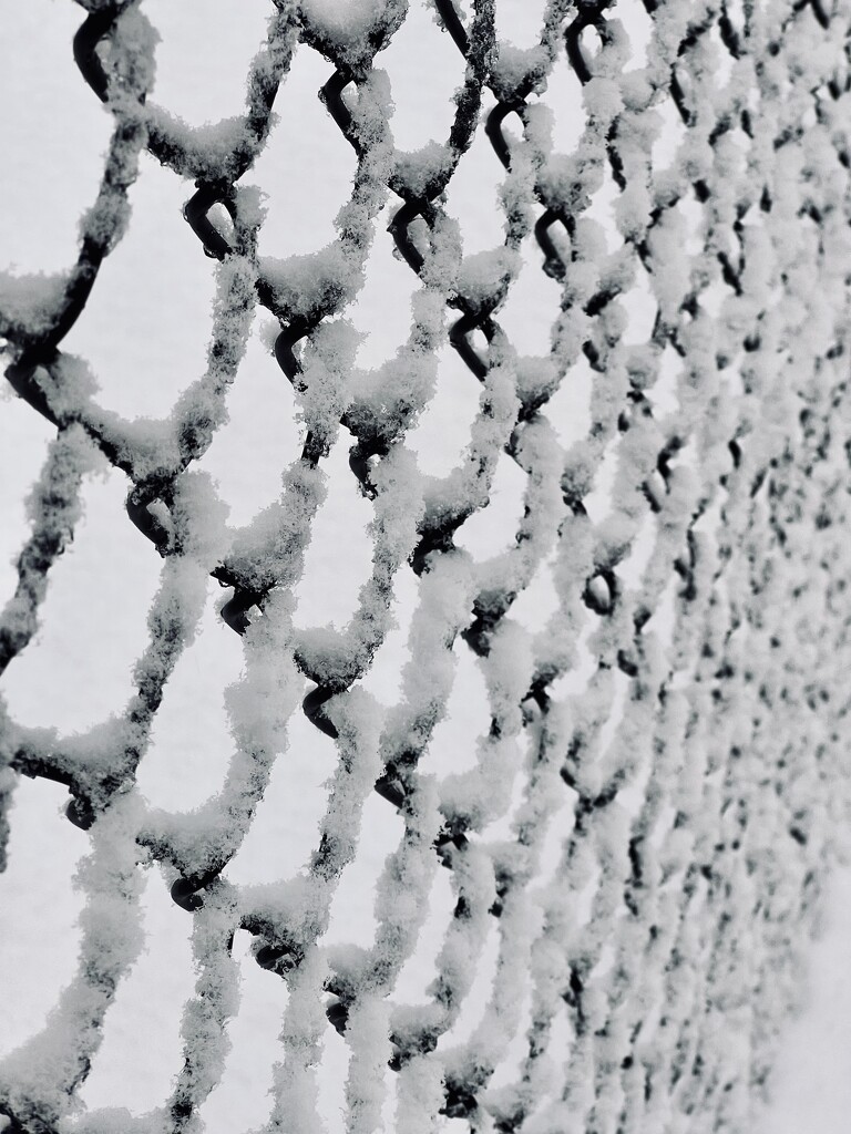 Snow Web by corinnec