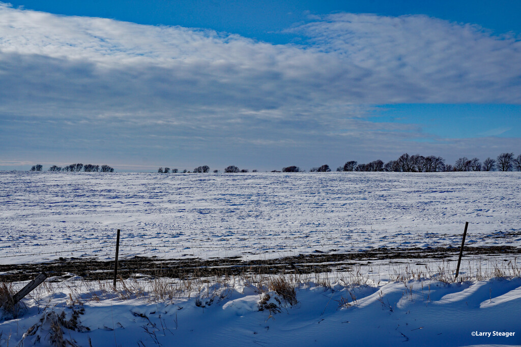 Snowy fields by larrysphotos