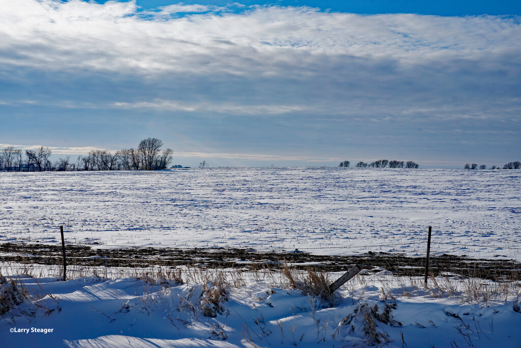 Snowy fields b by larrysphotos