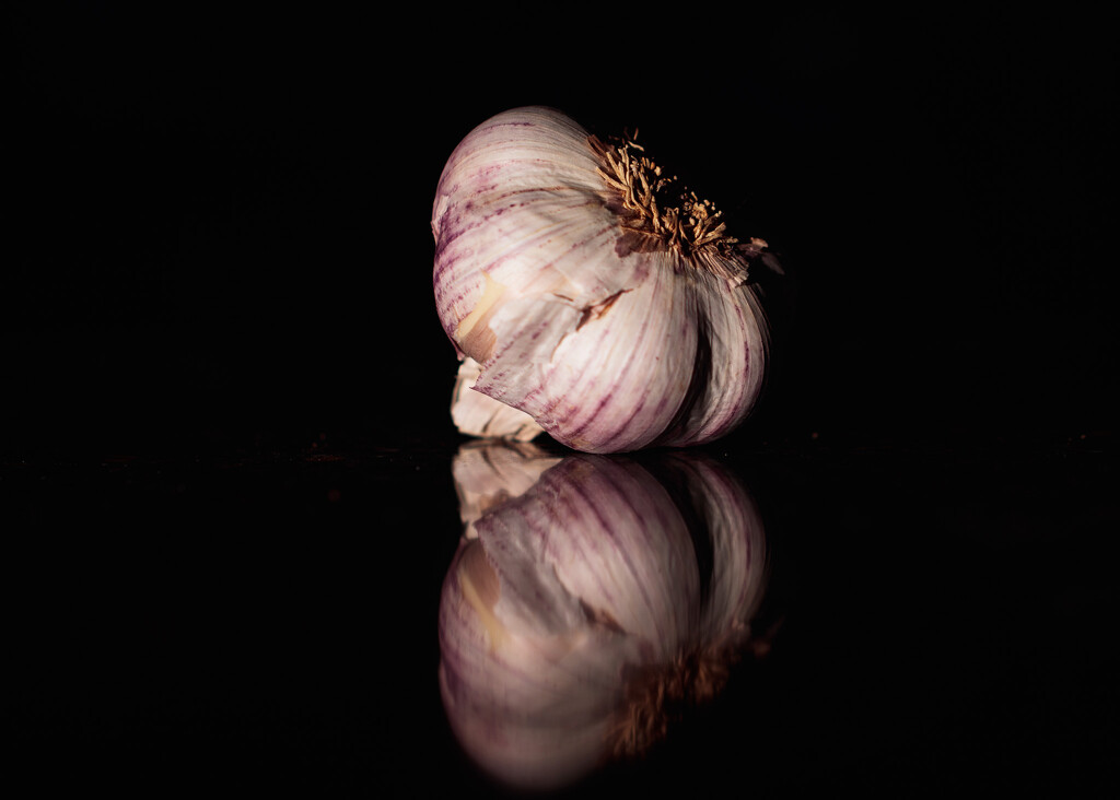garlic by aecasey