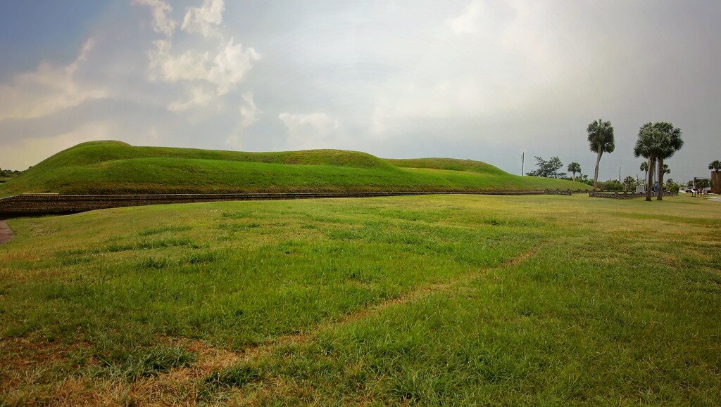 Grounds Around Fort Pulaski by randy23