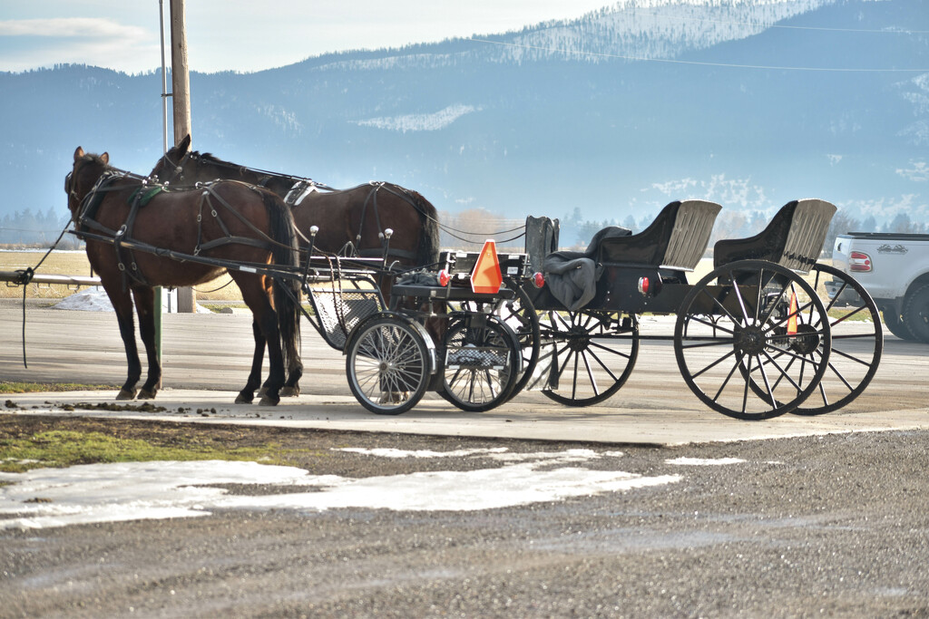 Amish Transportation by bjywamer
