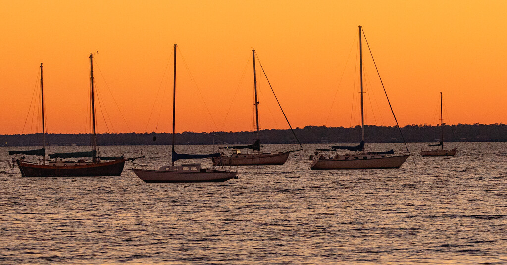 Sailboats at Sunset! by rickster549