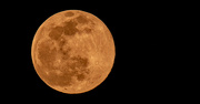 17th Jan 2022 - Full Wolf Moon!