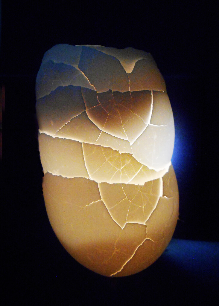 Glowing Eggshells by njmauthor