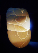 18th Jan 2022 - Glowing Eggshells