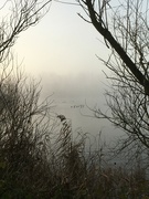 18th Jan 2022 - Fog across the lake this morning