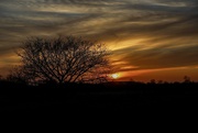 18th Jan 2022 - Another Shire Sunset