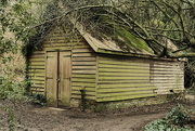 15th Jan 2022 - Shed 