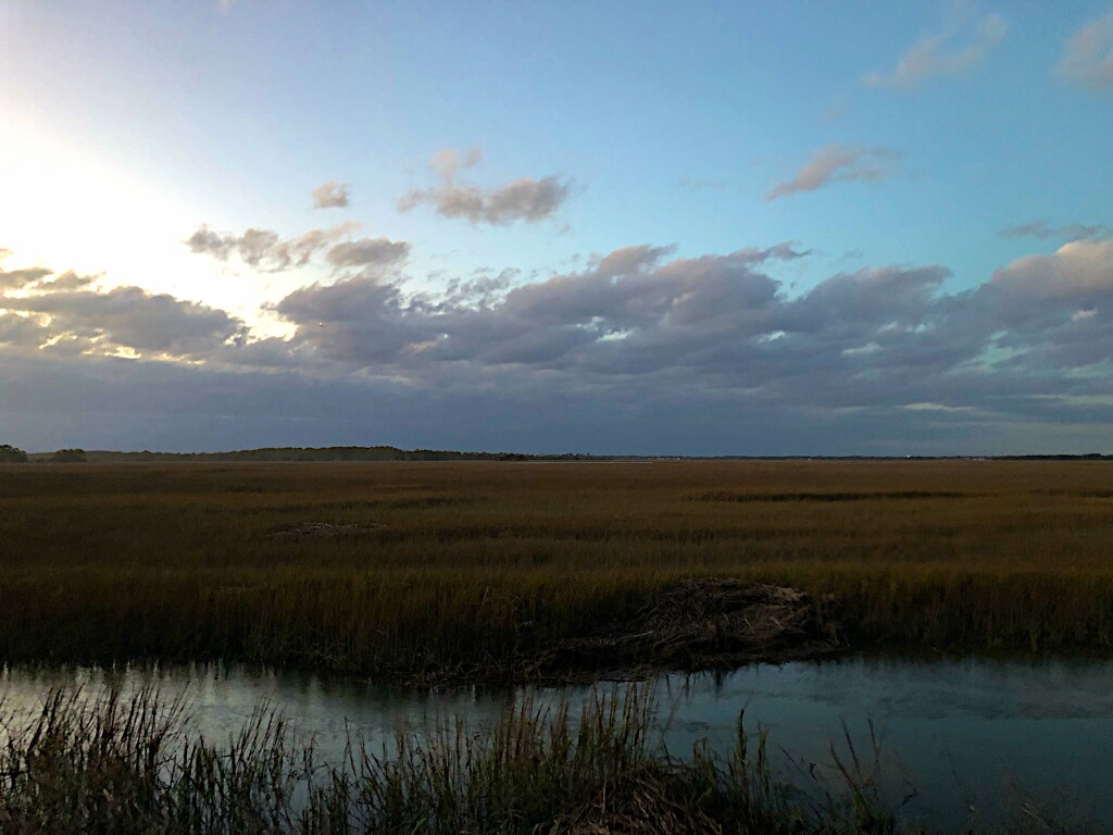 Marsh sky near sunset by congaree