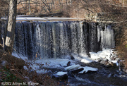 18th Jan 2022 - Woodland Waterfall