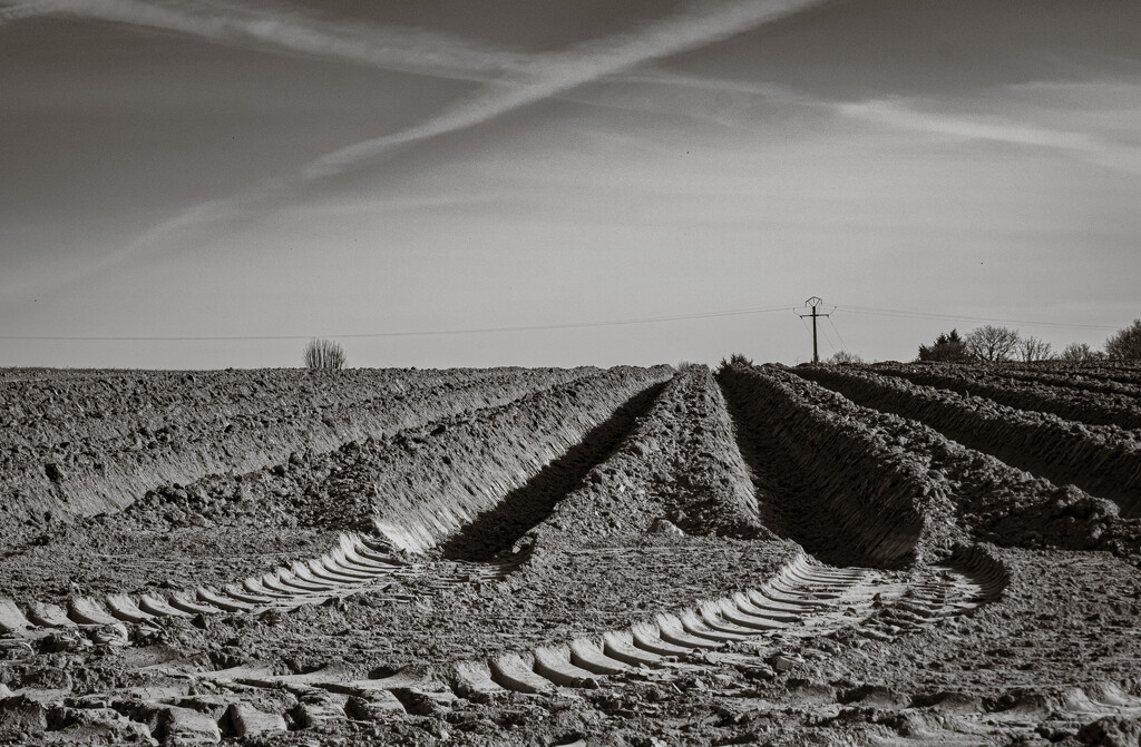Ploughed Reprise! by vignouse